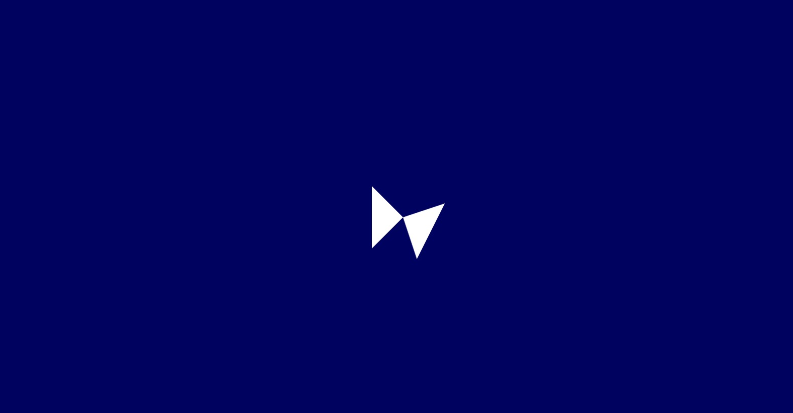 Project Preview